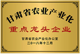 重點(diǎn)龍頭企業(yè)